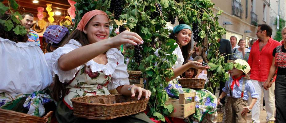Herbstzauber am Gardasee: Wein, Honig und Magie - Lesen Sie die Nachrichten