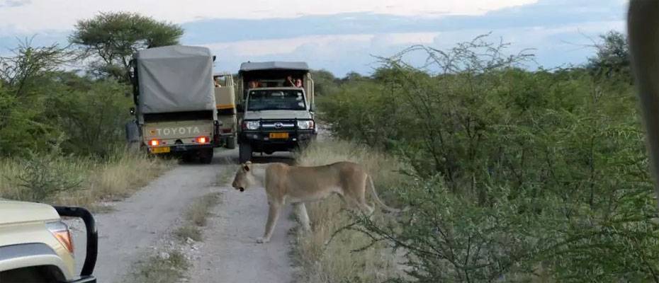 Von Windhoek bis Victoria Falls mit dem Mietwagen - Lesen Sie die Nachrichten