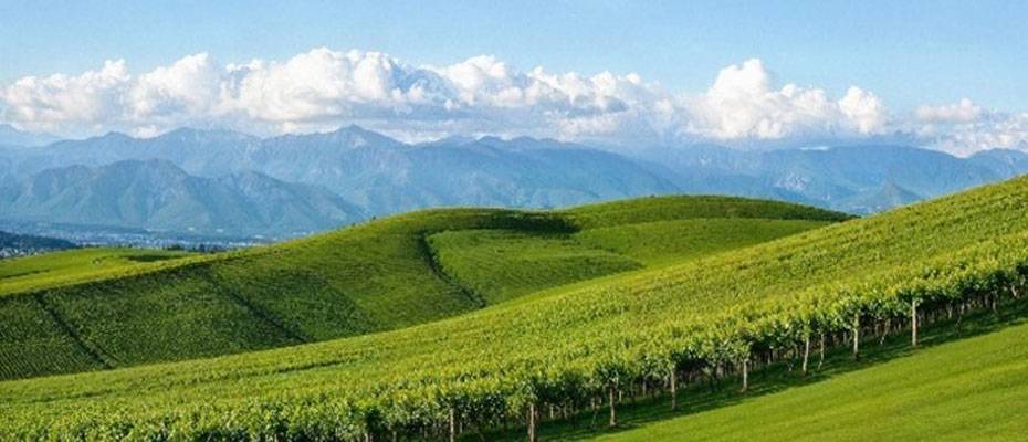 Wyndham Garden eröffnet neues Hotel in Conegliano - Lesen Sie die Nachrichten