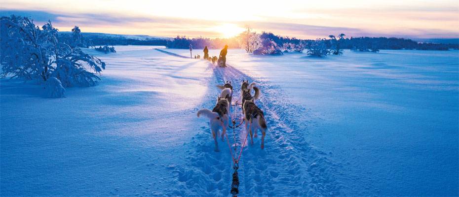 Winterzauber in Finnland – trendtours startet neue Erlebnisreise