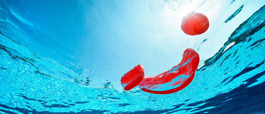 TUI präsentiert die Reisetrends 2026 - Read the News?>