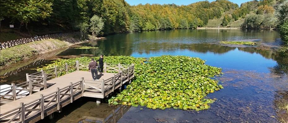 Ordu’daki Ulugöl Tabiat Parkı 9 Ayda 220 Bin Ziyaretçiyi Ağırladı - Lesen Sie die Nachrichten?>