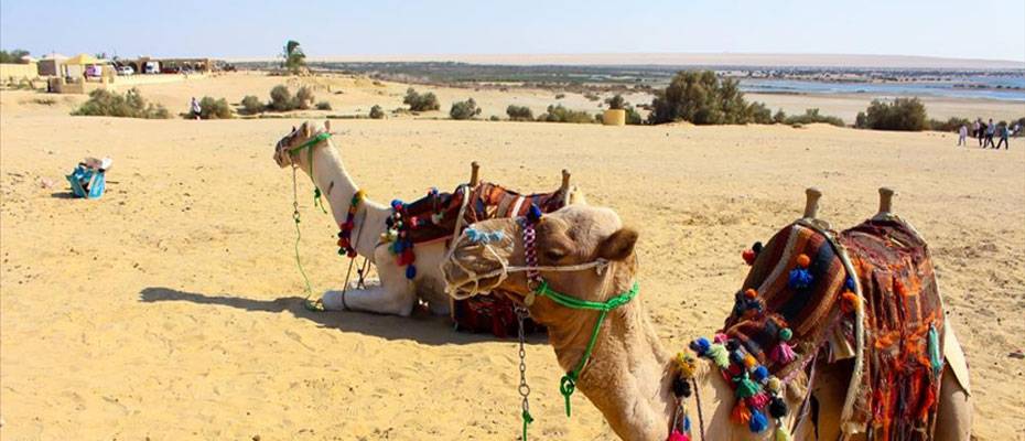 Mısır, yılın ilk dokuz ayında 15 milyon turist ağırladı - Haberi Oku