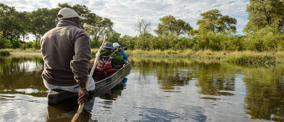 DIAMIR lädt Reiseprofis auf Safari nach Botswana und Simbabwe ein - Lesen Sie die Nachrichten