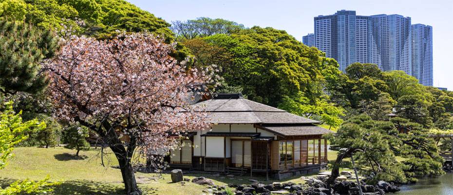 Kirschblüte, Karneval, Kulinarik: Mit Silversea weltweite Großevents exklusiv erleben