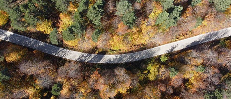 Bilecik ormanlarında sonbahar renkleri büyülüyor - Haberi Oku