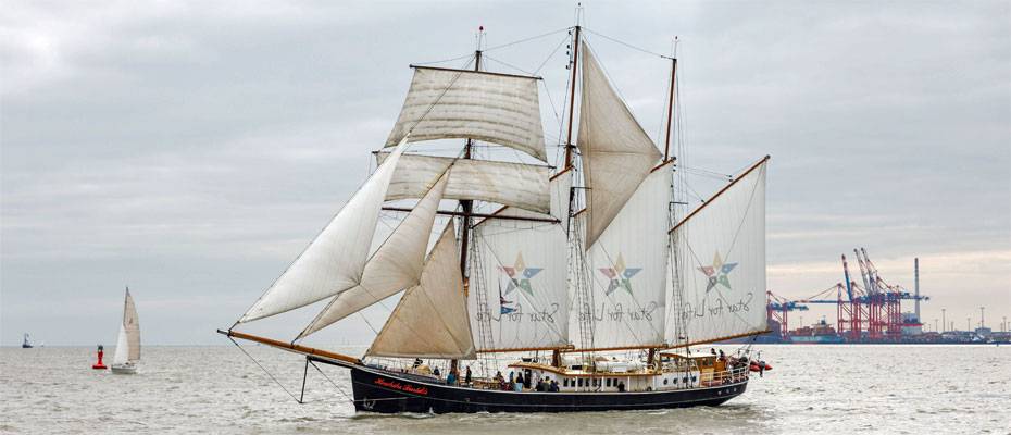 Traditionssegler zu Gast in Wilhelmshaven - Lesen Sie die Nachrichten