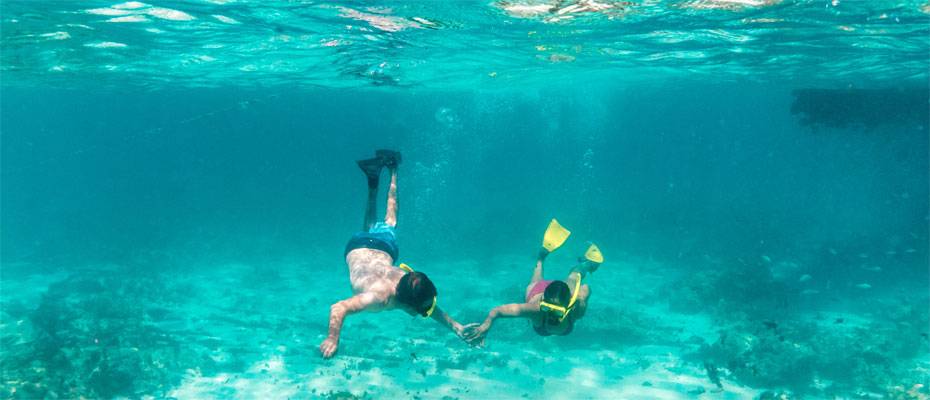 Romantik unter Palmen: Warum Aruba Paare besonders glücklich macht - Lesen Sie die Nachrichten