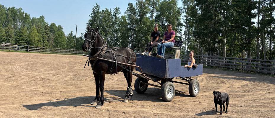 Mit Experiment zu einem Ranchstay nach Kanada - Lesen Sie die Nachrichten