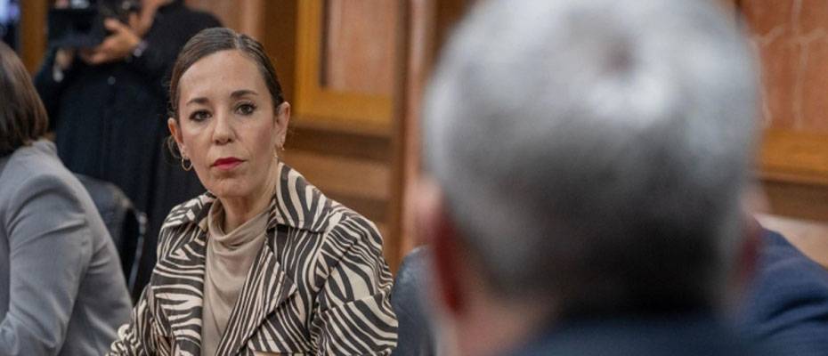 Kanarya Adaları Turizm Bakanı, yeni tatil konutu yasası nedeniyle saldırıları polis’e bildirdi - Lesen Sie die Nachrichten?>