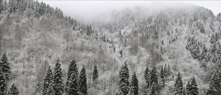 Birçok ilde kar ve soğuk hava etkisini artırdı - Haberi Oku