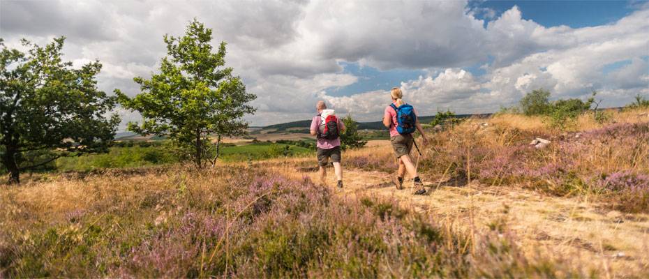 Urlaub 2026 in Rheinhessen: Weinlandschaft, Bewegung und Kultur im Einklang - Lesen Sie die Nachrichten