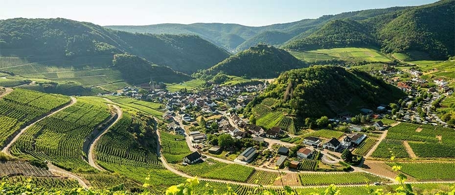 Expedienten-Reise: Erlebe das Ahrtal persönlich! - Lesen Sie die Nachrichten