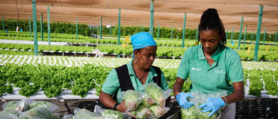 TUI Care Foundation invites travellers to experience its global impact first-hand - Lesen Sie die Nachrichten?>