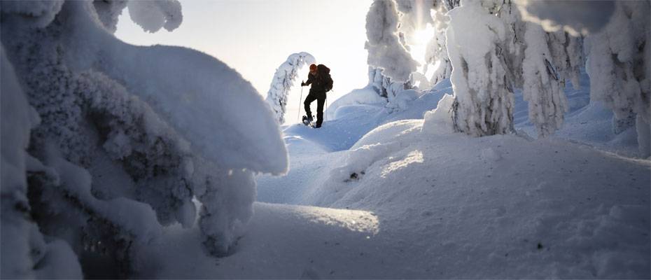 Winterzauber in Südfinnland und der Seenregion - Lesen Sie die Nachrichten