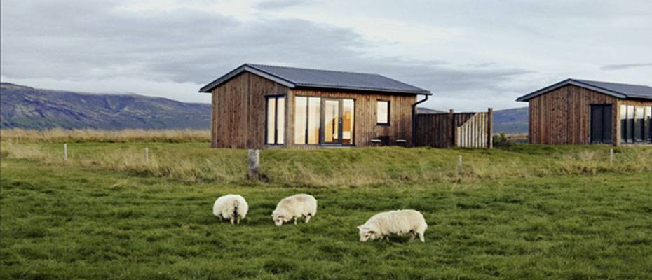 Airbnb-Mitgründer Nathan Blecharczyk spricht auf dem ITB Berlin Kongress über Naturreisen - Lesen Sie die Nachrichten