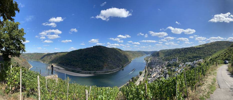 Airbnb Co-Founder Highlights the Role of Nature Tourism at ITB Berlin 2026 - Lesen Sie die Nachrichten?>