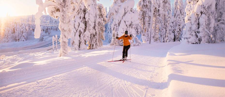 Von Weltcup bis Wildnis: Langlaufen in Ruka-Kuusamo - Lesen Sie die Nachrichten