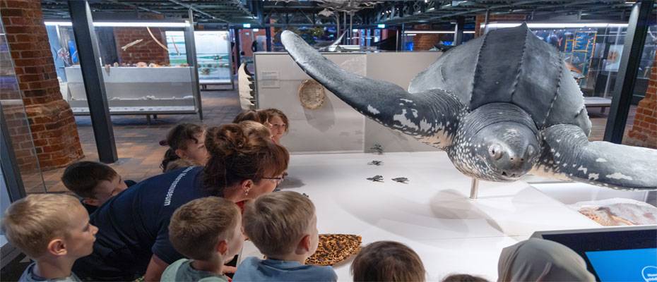 Winterferien in Mecklenburg-Vorpommern: Natur, Kultur und Abenteuer für Familien - Lesen Sie die Nachrichten