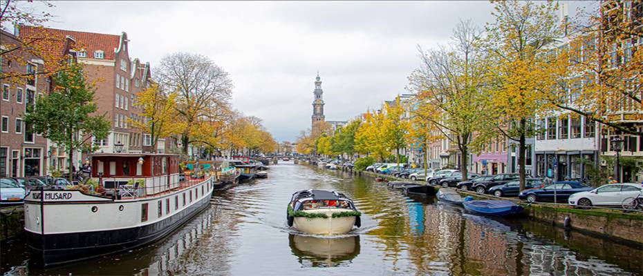 Amsterdam erwägt vollständiges Kreuzfahrtverbot - Lesen Sie die Nachrichten