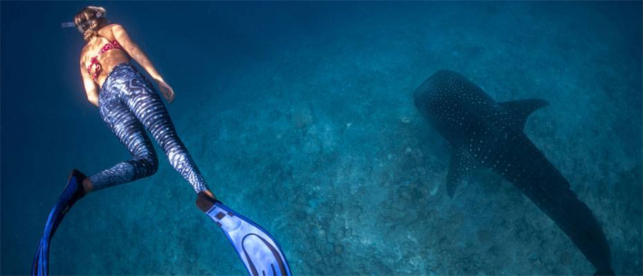 Swan Hellenic erweitert Expeditionsprogramm um Tauchgänge in Raja Ampat - Haberi Oku?>