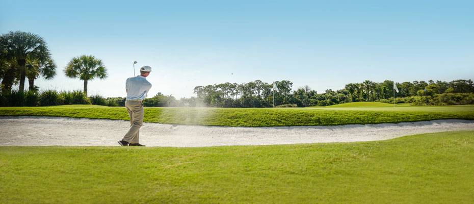 Wintergolf unter Palmen: Florida’s Paradise Coast als ideales Reiseziel - Lesen Sie die Nachrichten