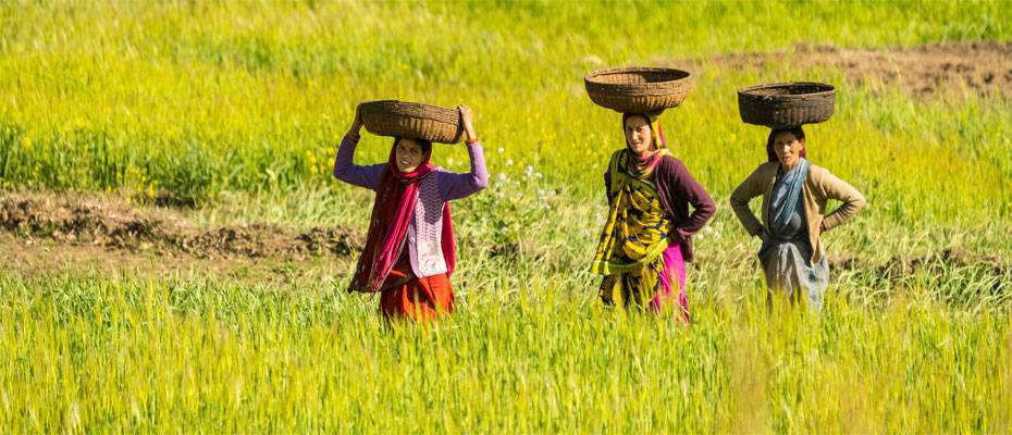 Intelligenter Klimaschutz im Tourismus: Wirkung statt Versprechen - Lesen Sie die Nachrichten