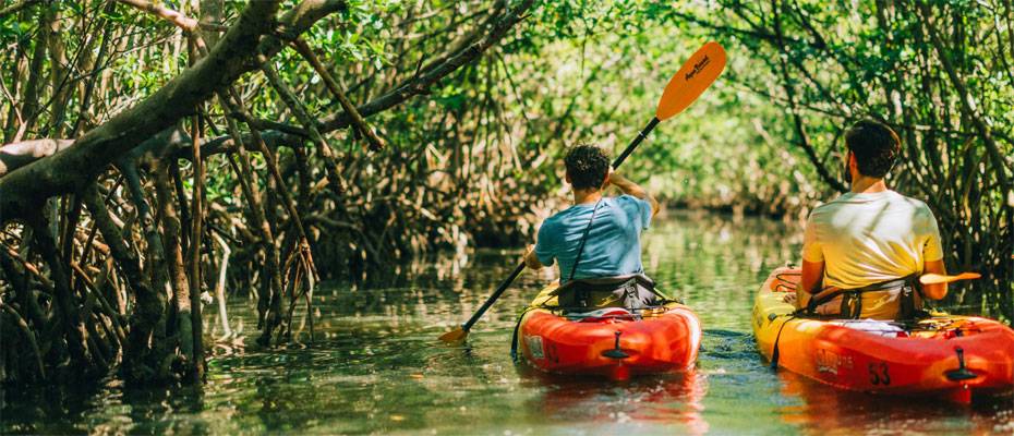 Romantik das ganze Jahr: Floridas besondere Rückzugsorte für Paare - Lesen Sie die Nachrichten
