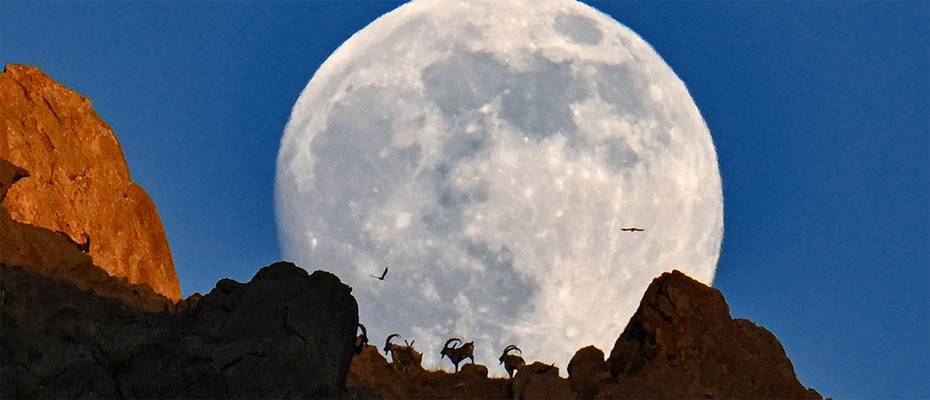 Antalya turizm temsilcileri AA’nın ‘Yılın Kareleri’ oylamasına katıldı - Lesen Sie die Nachrichten?>