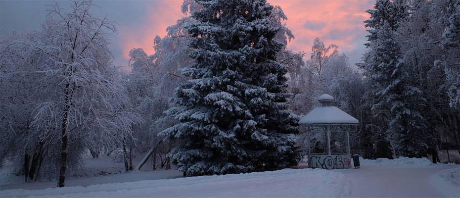 Oulu: Europäische Kulturhauptstadt 2026 - Lesen Sie die Nachrichten