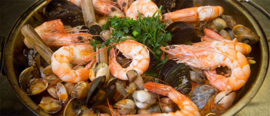 Algarve präsentiert Veranstaltungs-Highlights für 2026 - Lesen Sie die Nachrichten