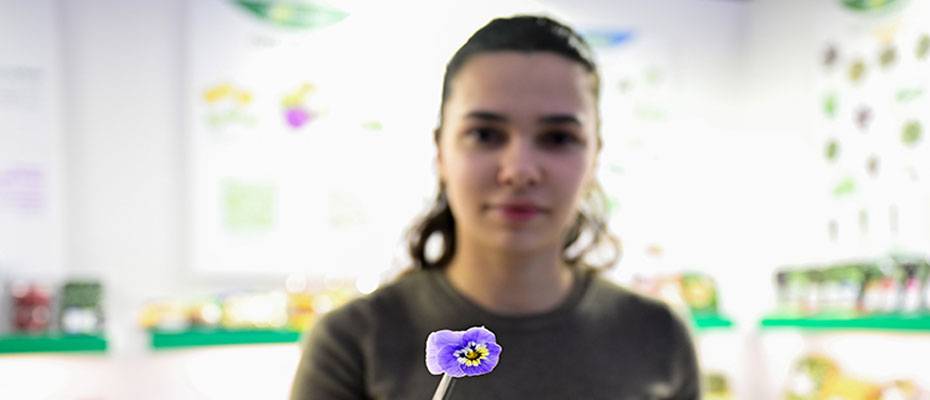 Gastronomi sektöründe yenilebilir çiçeklere ilgi artıyor - Lesen Sie die Nachrichten?>