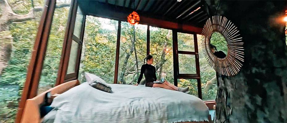 Zwei außergewöhnliche Übernachtungen in Japan - Lesen Sie die Nachrichten