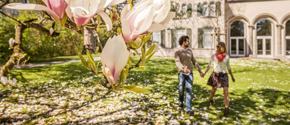 Ostern in Konstanz verbindet Naturerlebnisse, Kultur und Genuss am Bodensee - Lesen Sie die Nachrichten