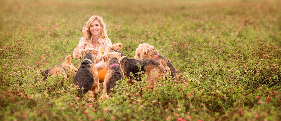 15 Jahre Bayerisches Gartennetz stärken Gartenkultur und Tourismus in Bayern - Lesen Sie die Nachrichten