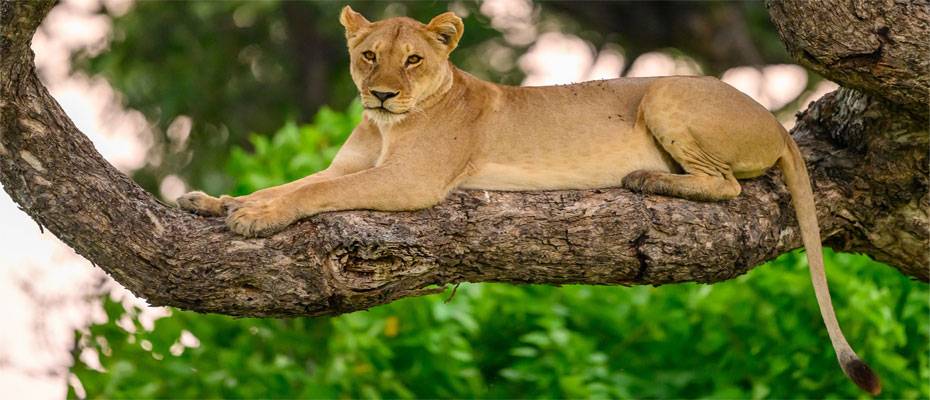 ASA bringt Vertrieb und Anbieter bei ‘ASA Exclusives’ zusammen - Lesen Sie die Nachrichten