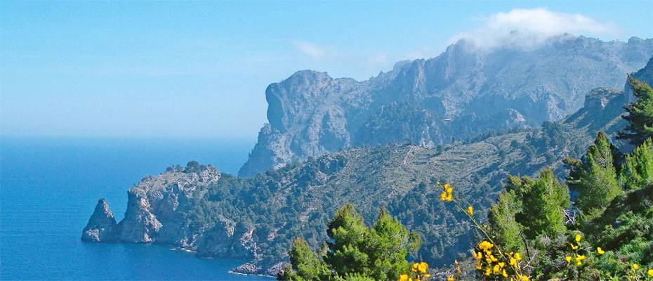 TUI stockt Flüge nach Spanien und Griechenland deutlich auf - Lesen Sie die Nachrichten