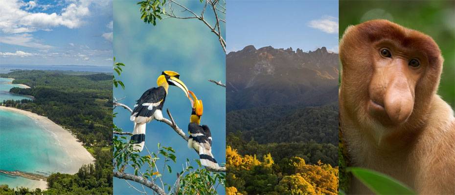 Club Med opens bookings for new Borneo resort in Malaysia - Lesen Sie die Nachrichten?>