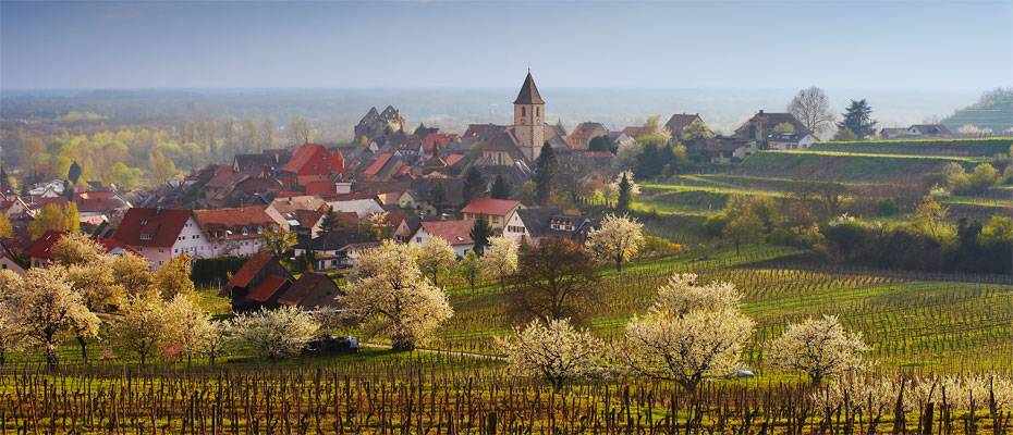 Bir köy nasıl otele dönüşür: Kara Orman’da yeni turizm modeli - Lesen Sie die Nachrichten?>