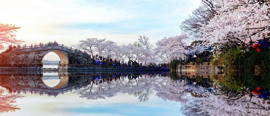 Kirschblüten in China locken Besucher von Februar bis Mai - Lesen Sie die Nachrichten