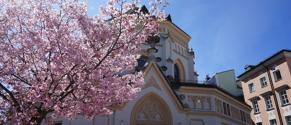 Frühlingsurlaub im Chiemsee-Alpenland  - Lesen Sie die Nachrichten