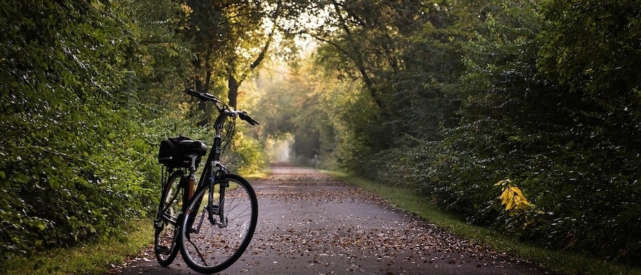 Pine Creek Rail Trail named Pennsylvania's 2026 Trail of the Year - Lesen Sie die Nachrichten?>