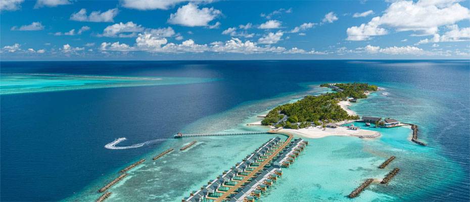 Sentido startet internationale ‘9-Hands-Dinner’-Eventreihe - Lesen Sie die Nachrichten