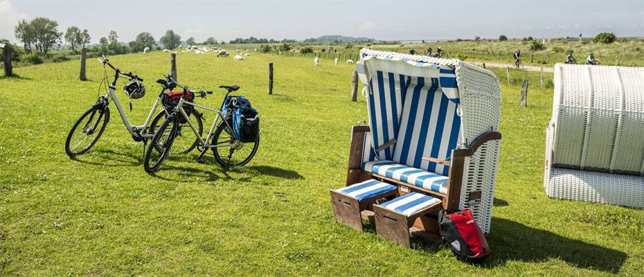 Mönchsweg im Frühling: Radroute mit weiten Blicken zwischen Bremen und Fehmarn - Lesen Sie die Nachrichten