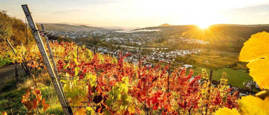 rtk Dialogtage starten mit Erlebnistag im Ahrtal - Lesen Sie die Nachrichten