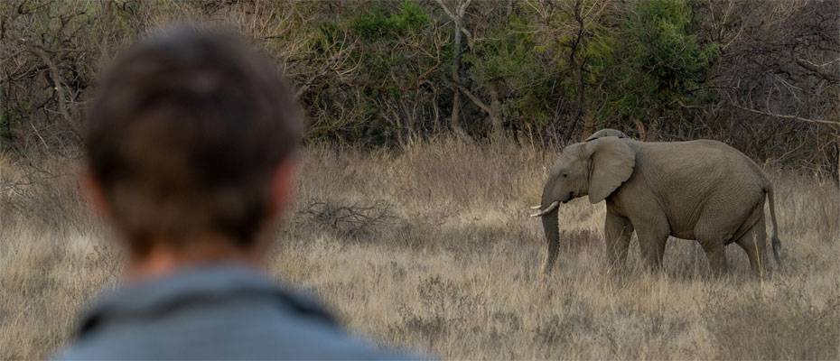 Babanango Game Reserve setzt auf mehrtägige Walking Safaris - Lesen Sie die Nachrichten