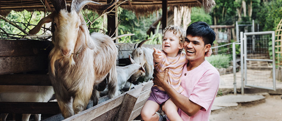Six Senses Joins the UNEP and UN Tourism Recipe of Change - Lesen Sie die Nachrichten?>