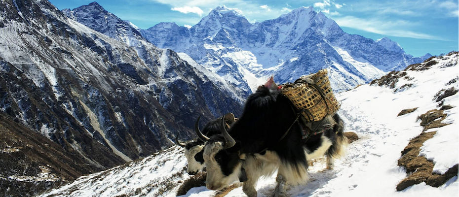 Nepal als Ziel für naturbasiertes Reisen - Lesen Sie die Nachrichten
