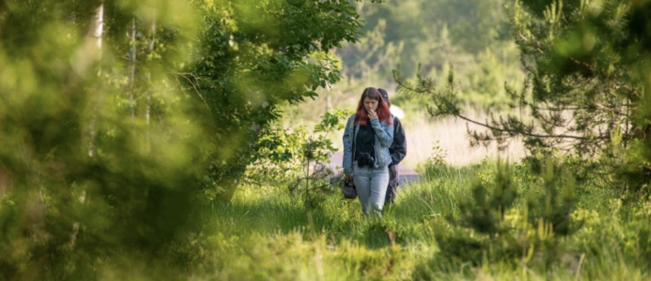 Waldtage im Ahlenmoor, den Wald am Moor entdecken - Lesen Sie die Nachrichten