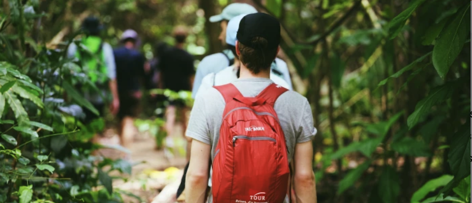 Fotografie-Sonderreise zur Grünen Saison nach Costa Rica - Lesen Sie die Nachrichten